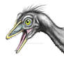 head of Archaeopteryx