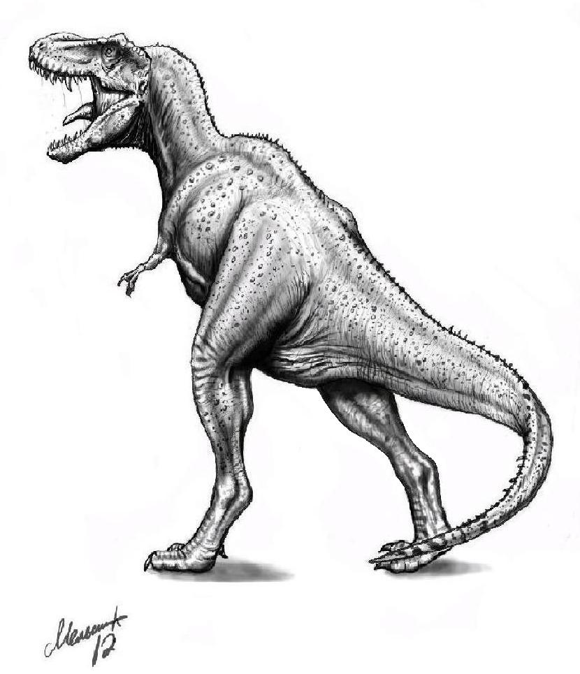 Charcoal drawing of a Tyrannosaurus Rex by p3vstudio on DeviantArt