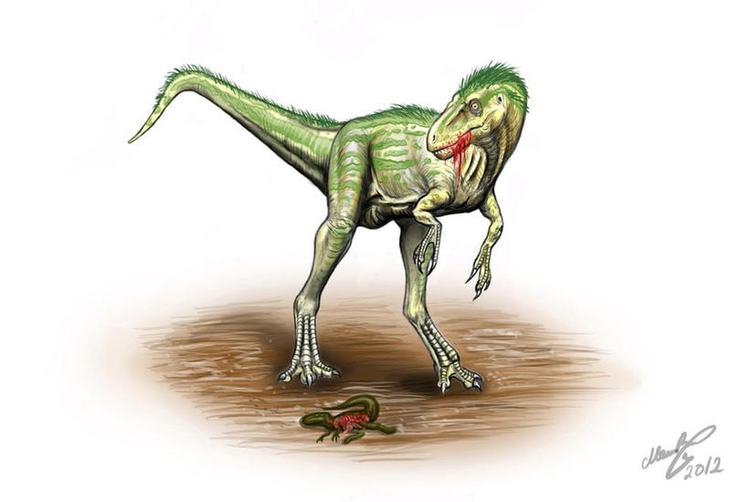 Eotyrannus lengi
