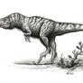 Yutyrannus huali