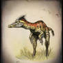 Troodon inequalis