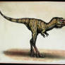 Albertosaurus cub
