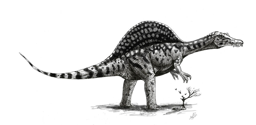 Spinosaurus . Andrea Kay version