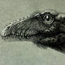 Tachiraptor admirabilis