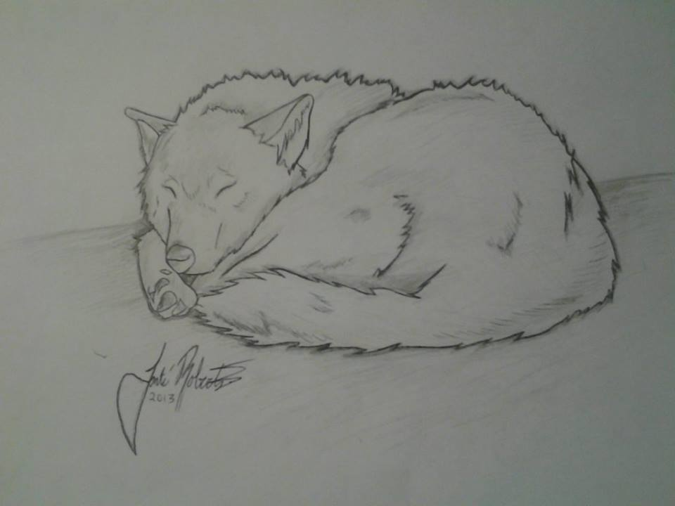 Sleeping Wolf