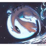 -Surf-