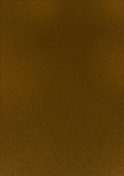 Leather Gold texture