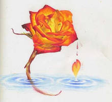 Fire Rose