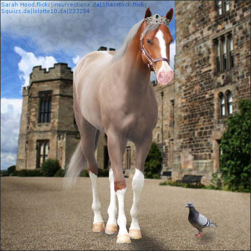 Horse Avatar ~ Prince William