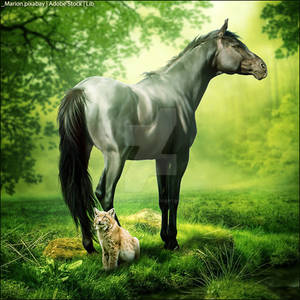 HEE Horse Avatar | Call Me Prim