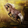 HEE Horse Avatar | Lady Croft