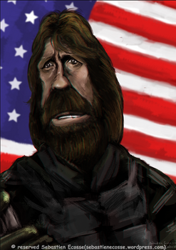 Chuck Norris an american hero