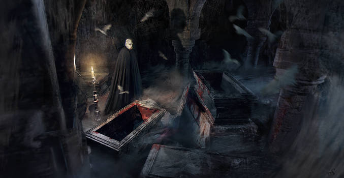 Dracula's crypt