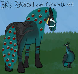BK Pokeball and Chain