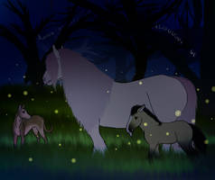 Why Is It Always Wolves