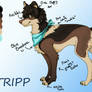 TRIPP guide