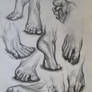 Feet Study