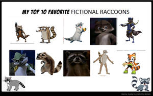 Top 10 Raccoons