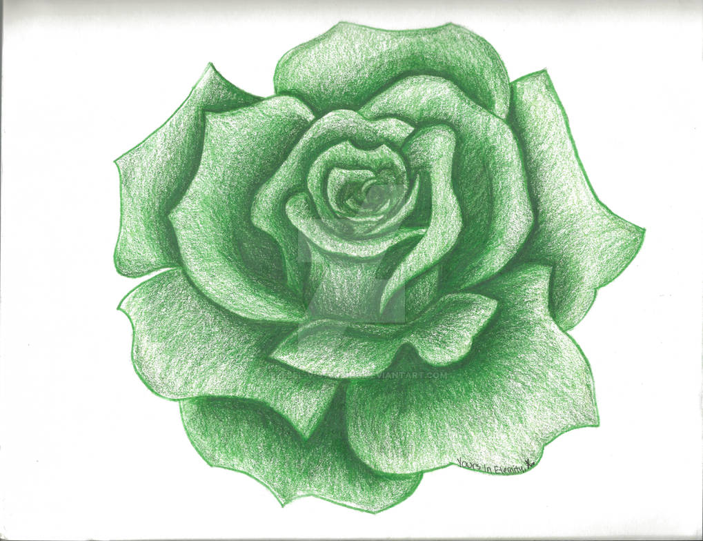 Hand Drawn Green Roses Green Rose by Jezebel-V-Sterling on DeviantArt