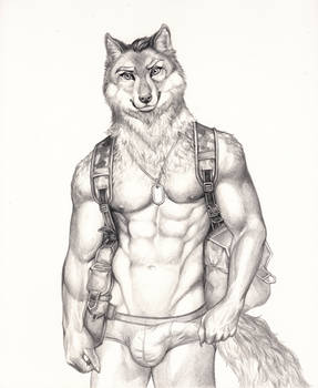 Mlitary Wolf