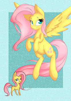 Bronycan't Print: Fluttershy