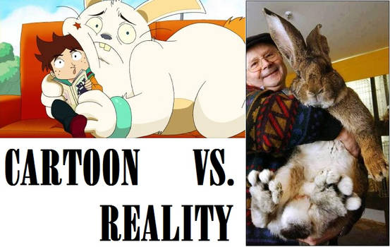 Cartoon VS. Reality / Rekkit The Rabbit