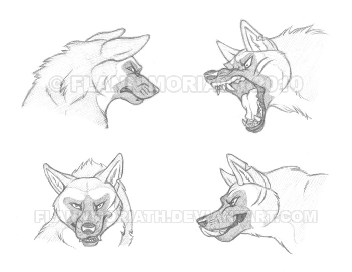 Headshot Expressions: Keitus