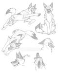 Sketch Sheet: Fly by FlannMoriath