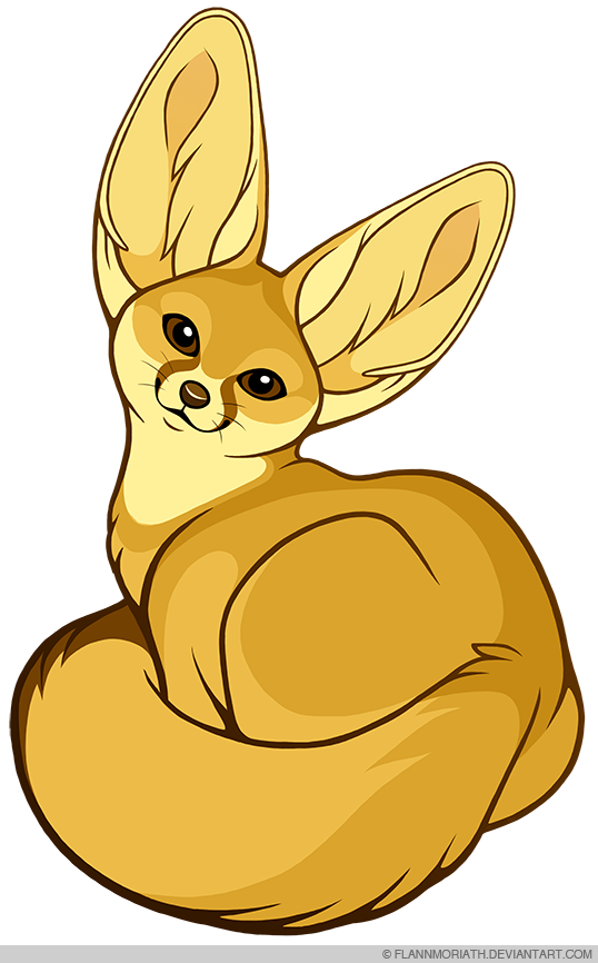 Fennec Fox