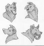 Headshot Expressions: Shadow by FlannMoriath