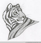 Vasillias the Tiger by FlannMoriath