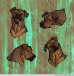 Headshot Expressions: Bilbo by FlannMoriath