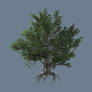 Generic Pandaria Tree 02