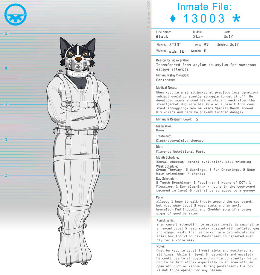 Inmate File: BlackStarWolf by BlackStarWolf100 on DeviantArt