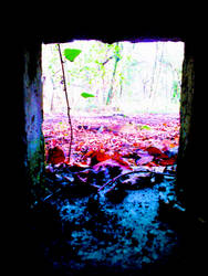 Forest Bunker Window