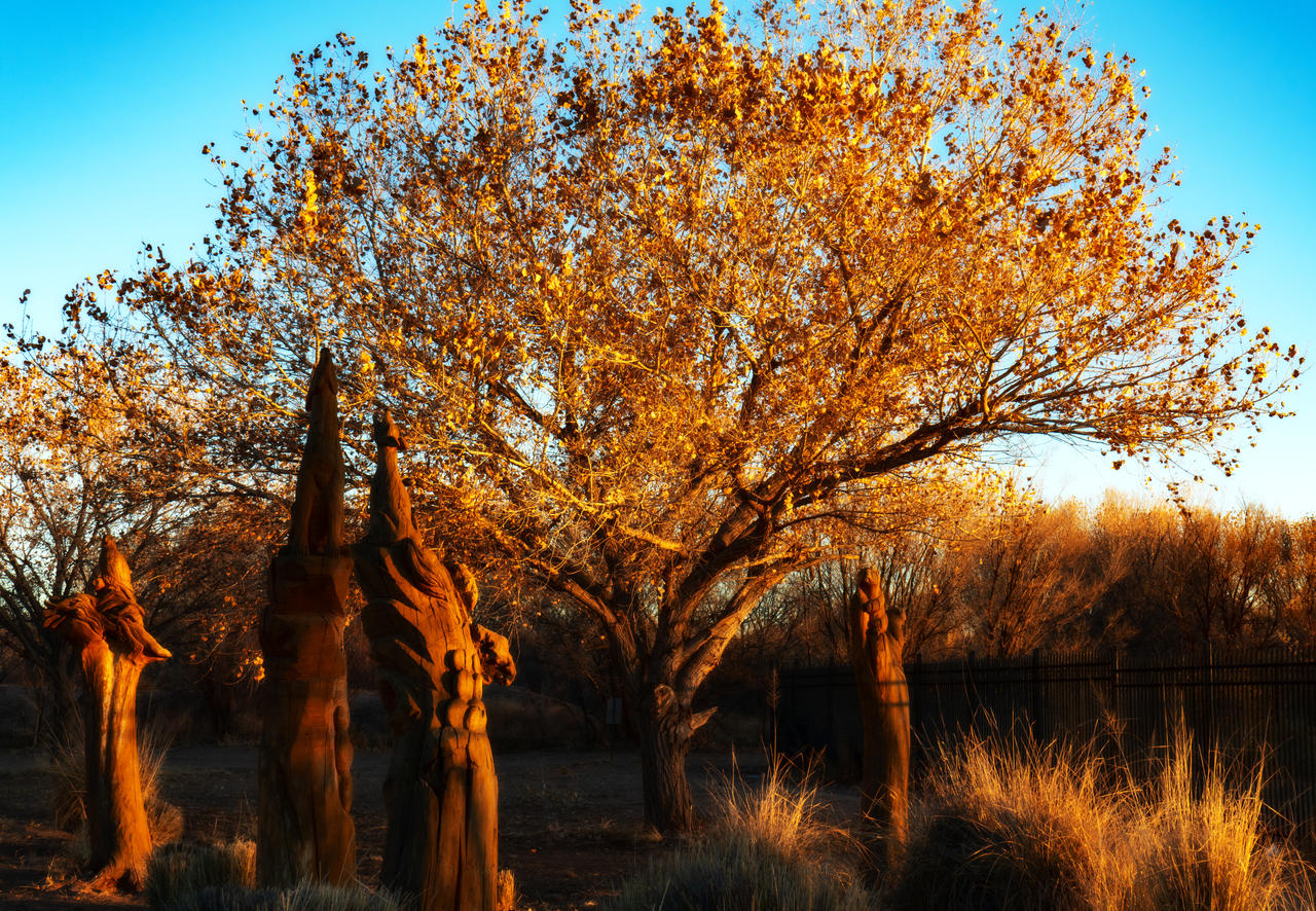 The Howling Tree by aquaria on DeviantArt