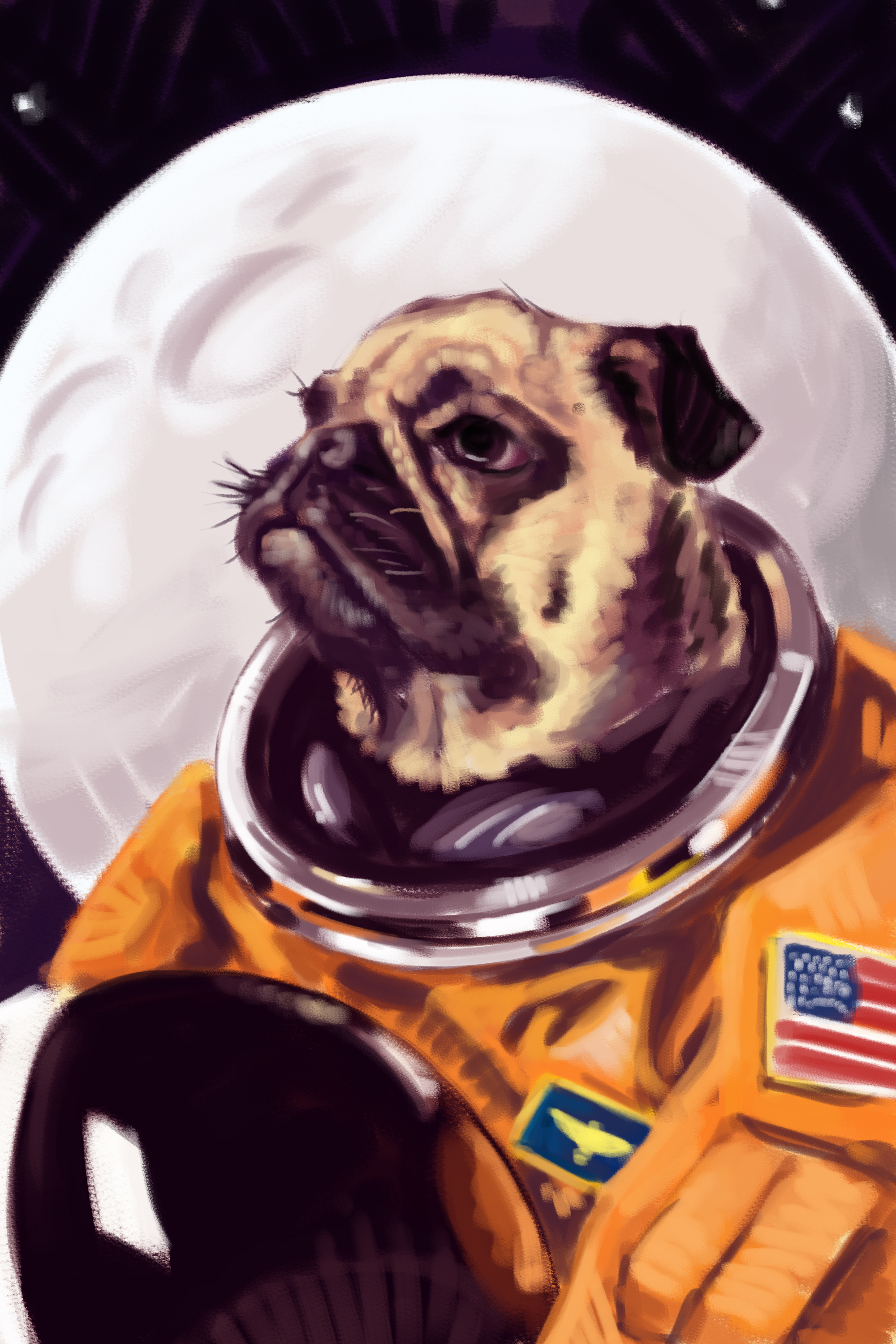 RGD - Astro-Pug