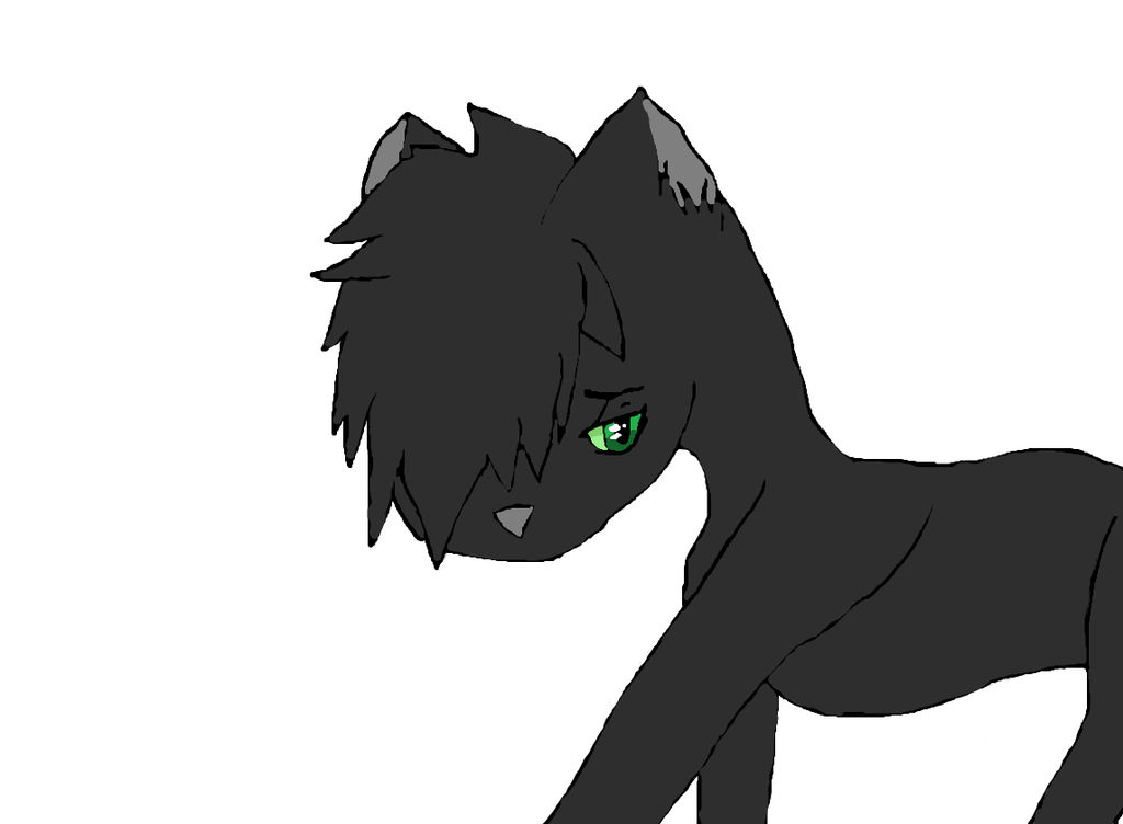 Hollyleaf