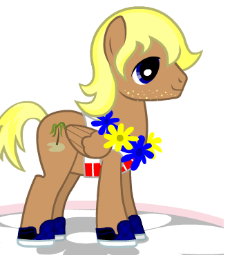 Luke The Beach Pony