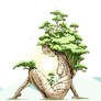 Girl bonsai