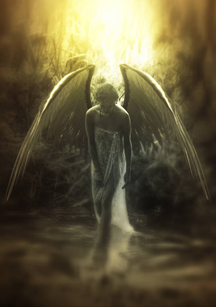 Dieuwertje Angel FS Blurry 2022 by JVW2021 on DeviantArt