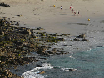 fun at low tide