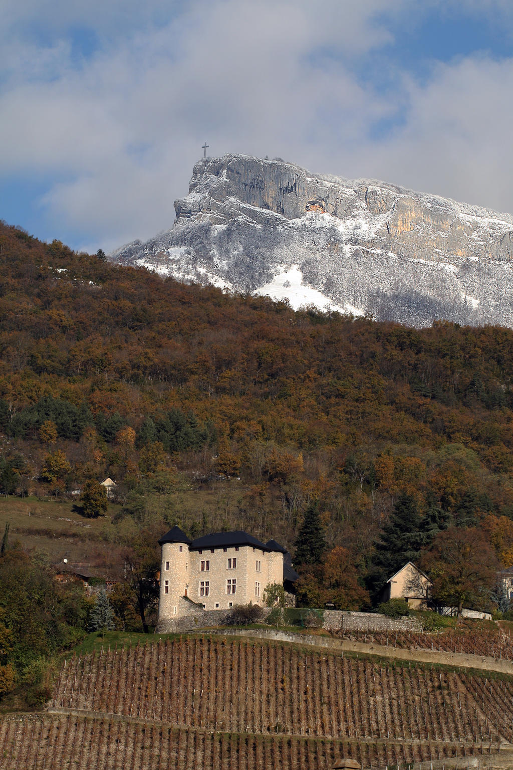 Chateau de Mont Terminod