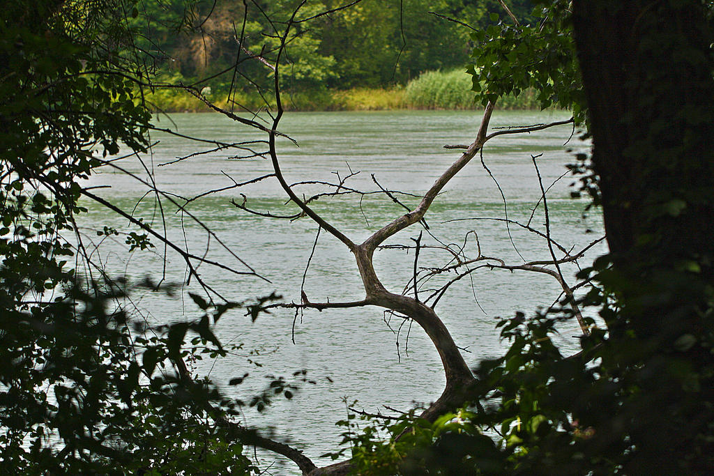 On the Rhone