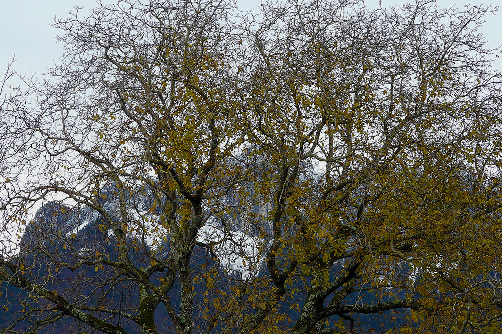 See Through The Time by organicvision on DeviantArt