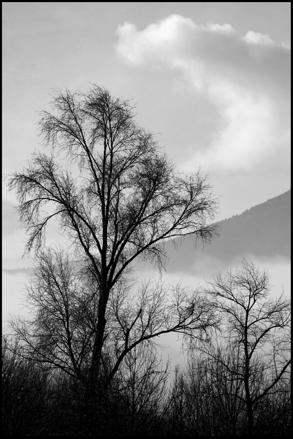 Refuge by organicvision on DeviantArt