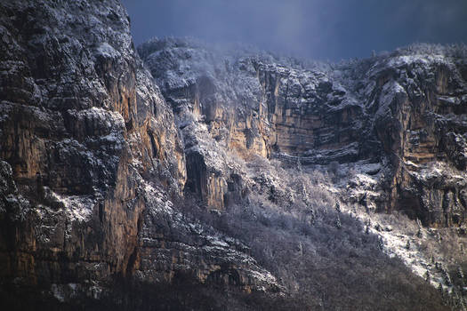 organicvision - Professional, Photographer | DeviantArt