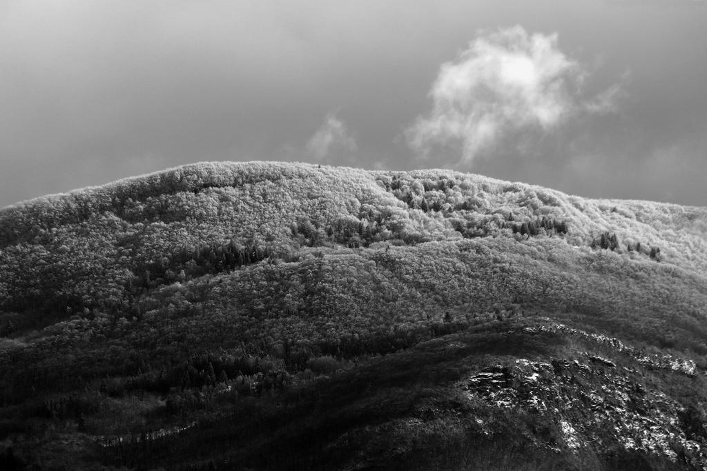 Frosty Ridge by organicvision on DeviantArt