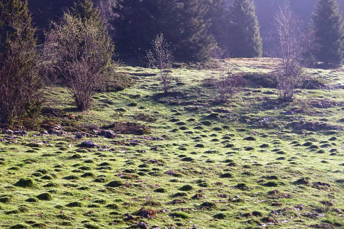 Mole Hills on the Mountain by organicvision on DeviantArt