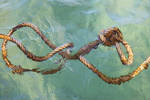 Tying Knots by organicvision